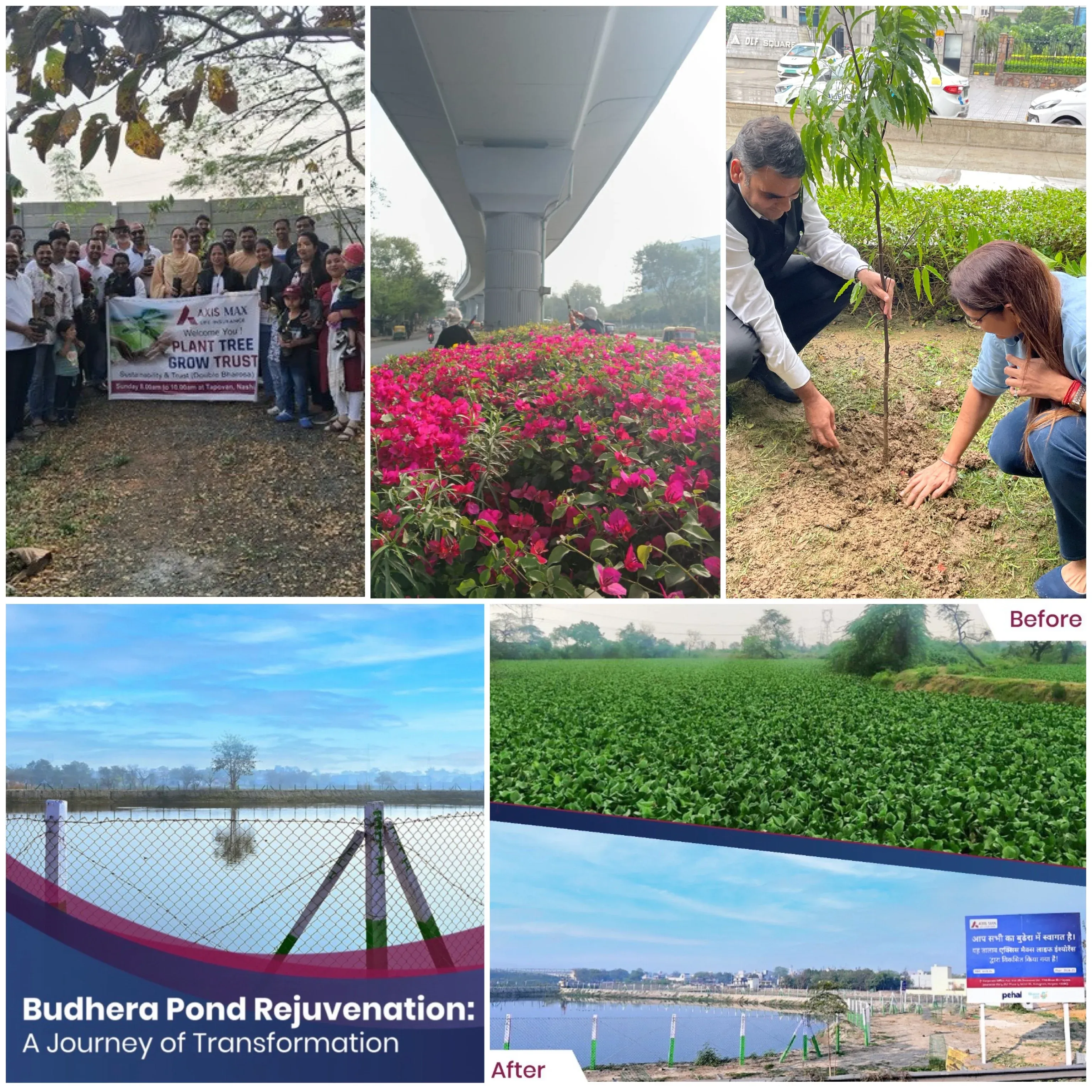 Environmental Conservation-2025.webp