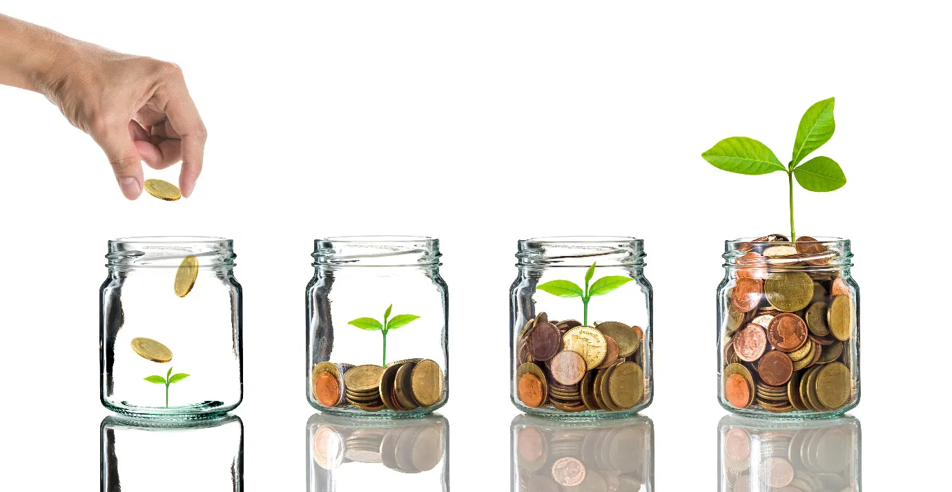 difference between savings and investment