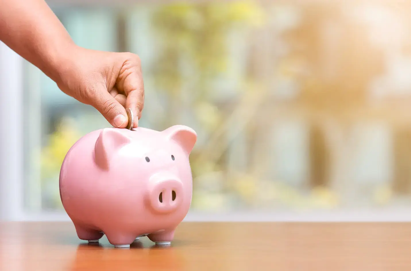 image What_is_Nationa_Savings_Certificate_2_c06f28290e