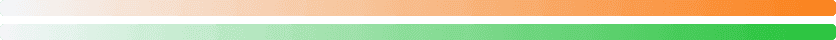 flag icon