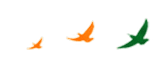 birds icon
