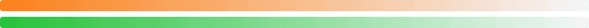 flag icon