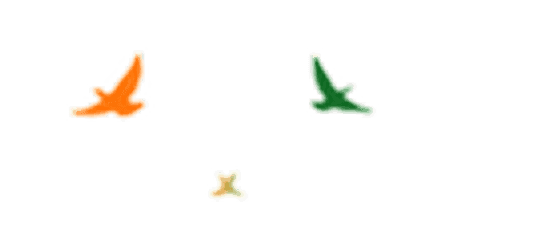 birds icon